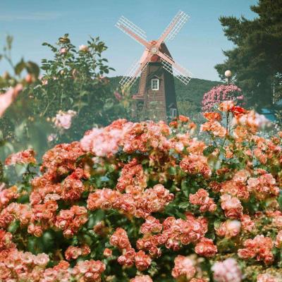 乐鱼官网手机app下载