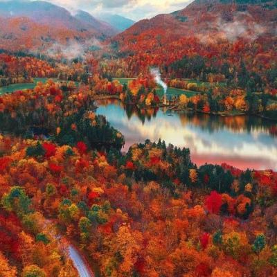 半岛手机综合体育登录