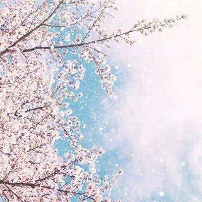 am8亚美ag旗舰厅官网app下载