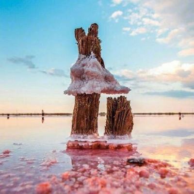 乐鱼app官方下载入口