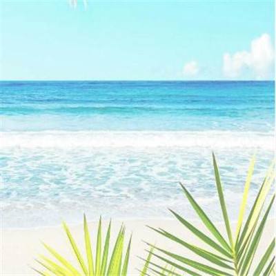 半岛手机网页版登录入口