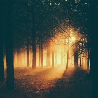 手游赏金女王免费下载